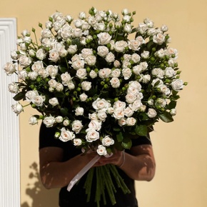 Букет из 27 кустовых роз (70 см) в Луховицах