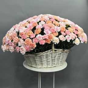 Композиция в корзине из 251 диантуса микс в Луховицах