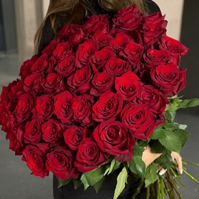 Букет 51 роза Эквадор Эксплорер (70 см) в Луховицах