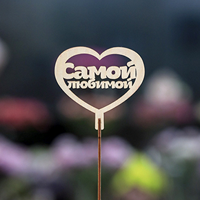 Топпер Самой Любимой в Луховицах