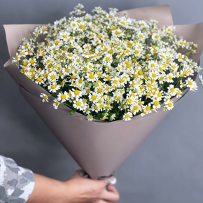 Букет из 17 ромашек танацетум в Луховицах