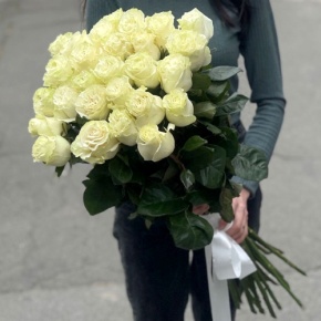 Монобукет из 25 роз Эквадор Мондиаль (80 см) в Луховицах