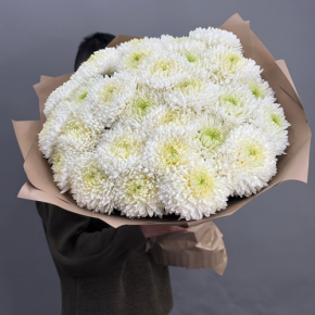 Букет из 27 хризантем Магнум в Луховицах