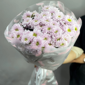 Букет "Нежный комплимент" из 9 кустовых хризантем в Луховицах