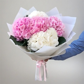 Букет из 5 нежных Голландских гортензий микс в Луховицах