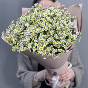 Букет из 17 полевых ромашек в Луховицах
