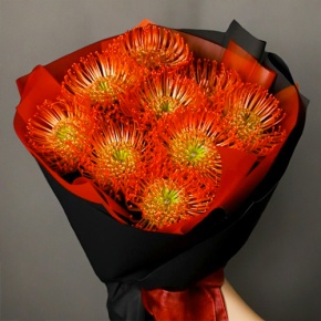 Букет из 9 лейко в Луховицах