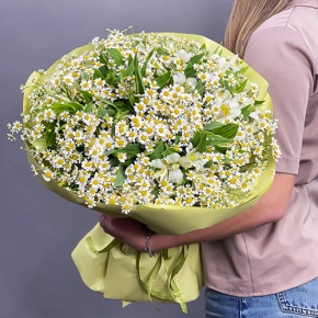 Букет из альстромерий и ромашек в Луховицах