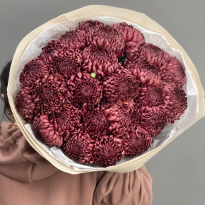 Букет 21 шоколадной хризантемы Бигоуди в Луховицах