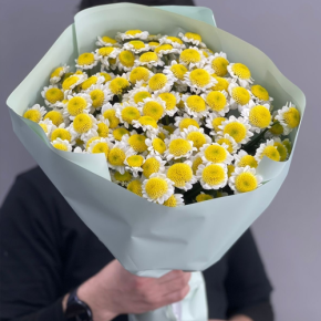 Букет "Моё солнышко" из 17 хризантем сантини в Луховицах