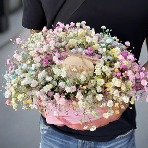 Композиция в коробке сердца из радужных гипсофил с топпером в Луховицах