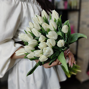 Букет белоснежных тюльпанов (25 шт) в Луховицах