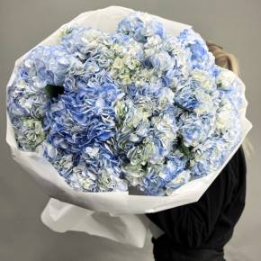 Букет из 23 синих гортензий в Луховицах