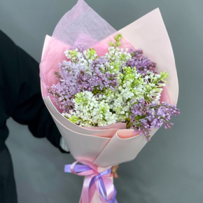Букет из 11 веток сирени микс в Луховицах