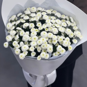 Букет "Белая дымка" из 25 хризантем сантини в Луховицах