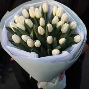 Букет из 31 белого тюльпана в Луховицах