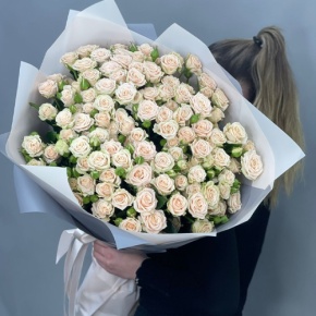Букет из 25 кремовых кустовых роз (70 см) в Луховицах