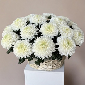 Композиция в корзине из 25 хризантем Магнум в Луховицах