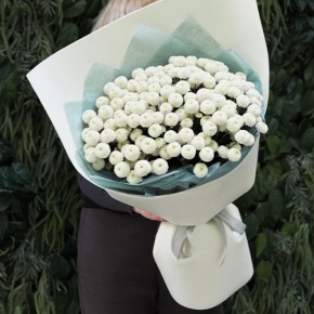 Букет из 25 хризантем Ньютон в Луховицах