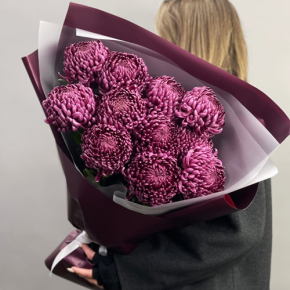 Букет "Изобилие" из 11 винных хризантем Бигоуди в Луховицах