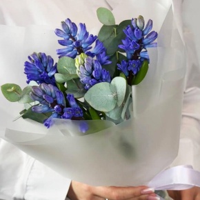 Букет "Мини" из 5 ароматных гиацинтов и эвкалипта в Луховицах