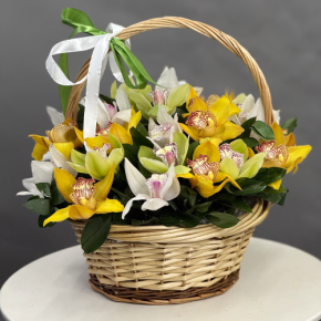 Композиция в корзине из 25 орхидей микс в Луховицах
