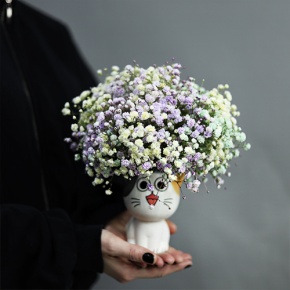 Композиция из гипсофил в керамическом кашпо в Луховицах