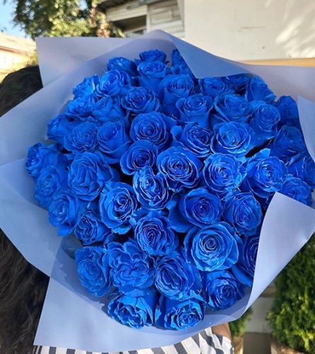 Букет из 51 синей розы Эквадор (60 см) в Луховицах