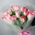 Букет "Фламинго" из 11 пионовидных тюльпанов в Луховицах Букет "Фламинго" из 11 пионовидных тюльпанов в Луховицах