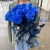 15 синих LUX роз Эквадор (70 см) в Луховицах 15 синих LUX роз Эквадор (70 см) в Луховицах