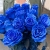 15 синих LUX роз Эквадор (70 см) в Луховицах 15 синих LUX роз Эквадор (70 см) в Луховицах
