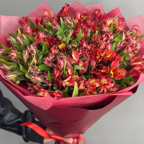 Монобукет из 25 красных альстромерий в Луховицах