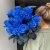15 синих LUX роз Эквадор (70 см) в Луховицах 15 синих LUX роз Эквадор (70 см) в Луховицах