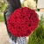 Букет 51 красной розы 50 см в Луховицах Букет 51 красной розы 50 см в Луховицах