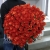 Букет 101 коралловая роза (60 см) в Луховицах Букет 101 коралловая роза (60 см) в Луховицах