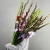 Букет из 25 гладиолусов микс в Луховицах Букет из 25 гладиолусов микс в Луховицах