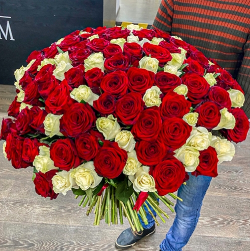 Букет 151 роза красный и белый микс (60 см) в Луховицах