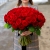 101 красная роза (50 см) в Луховицах