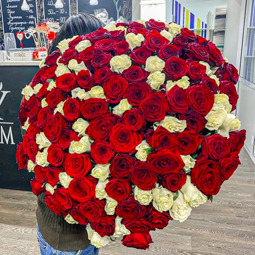 Букет 151 роза красный и белый микс (60 см) в Луховицах