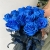 15 синих LUX роз Эквадор (70 см) в Луховицах 15 синих LUX роз Эквадор (70 см) в Луховицах