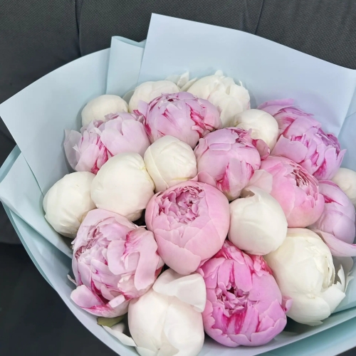 Микс из 19 бело-розовых пионов в Луховицах