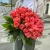 Букет 51 роза коралл (60 см) в Луховицах Букет 51 роза коралл (60 см) в Луховицах