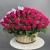 Композиция в корзине из 151 малиновой розы в Луховицах Композиция в корзине из 151 малиновой розы в Луховицах