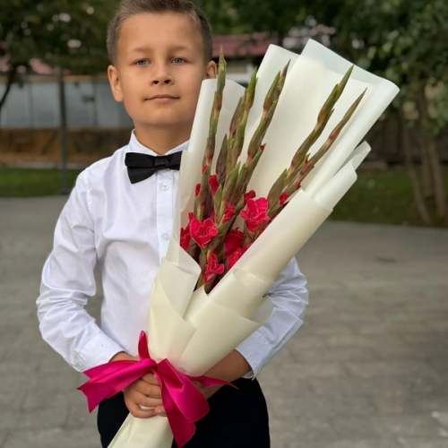 Букет на 1 сентября из 7 малиновых гладиолусов в Луховицах