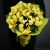 Букет из 13 лимонных орхидей в Луховицах Букет из 13 лимонных орхидей в Луховицах