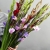 Букет из 25 гладиолусов микс в Луховицах Букет из 25 гладиолусов микс в Луховицах